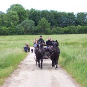 Die Kutschfahrt auf dem Rundweg ...