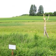 Kleiner Riese schwärmt vom Mond