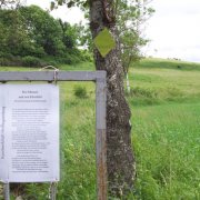 "Der Mensch und sein Ebenbild"