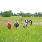 "Abgesang" (Whale-watching ?)