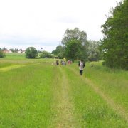 ... weiter auf dem Rundweg ...