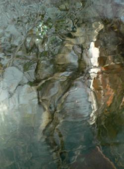 Elisabeth Schineis Elisabeth Schineis