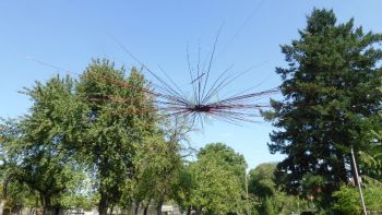 Peter Neuberger - Leicht wie der Wind, Variante 6 Peter Neuberger - Leicht wie der Wind, Variante 6